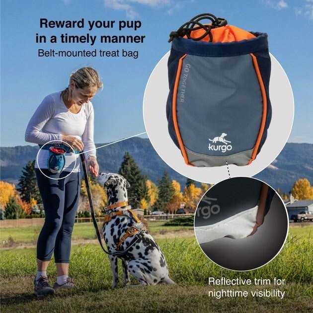 Dog Treat Bag S728