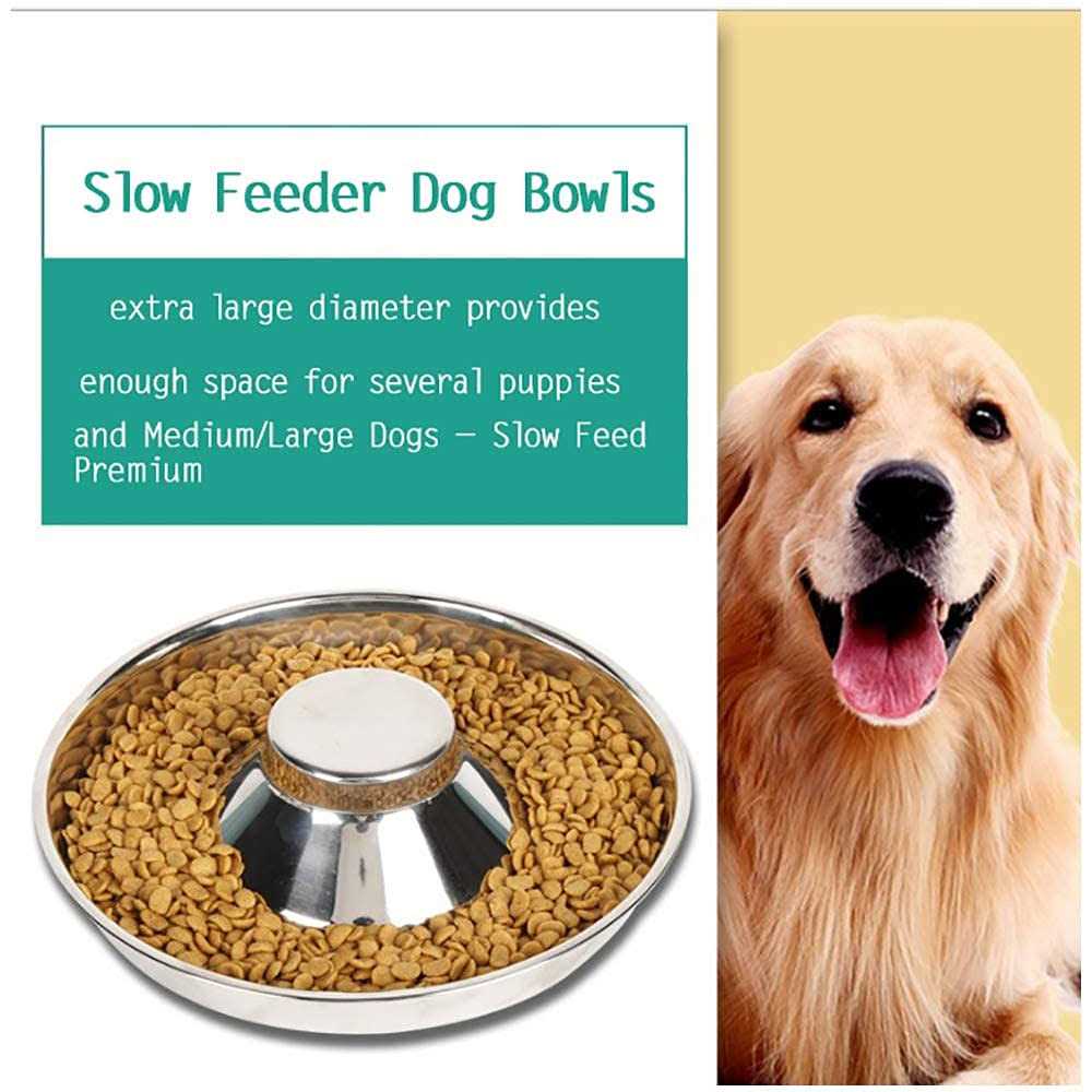 Puppy Bowls Y609