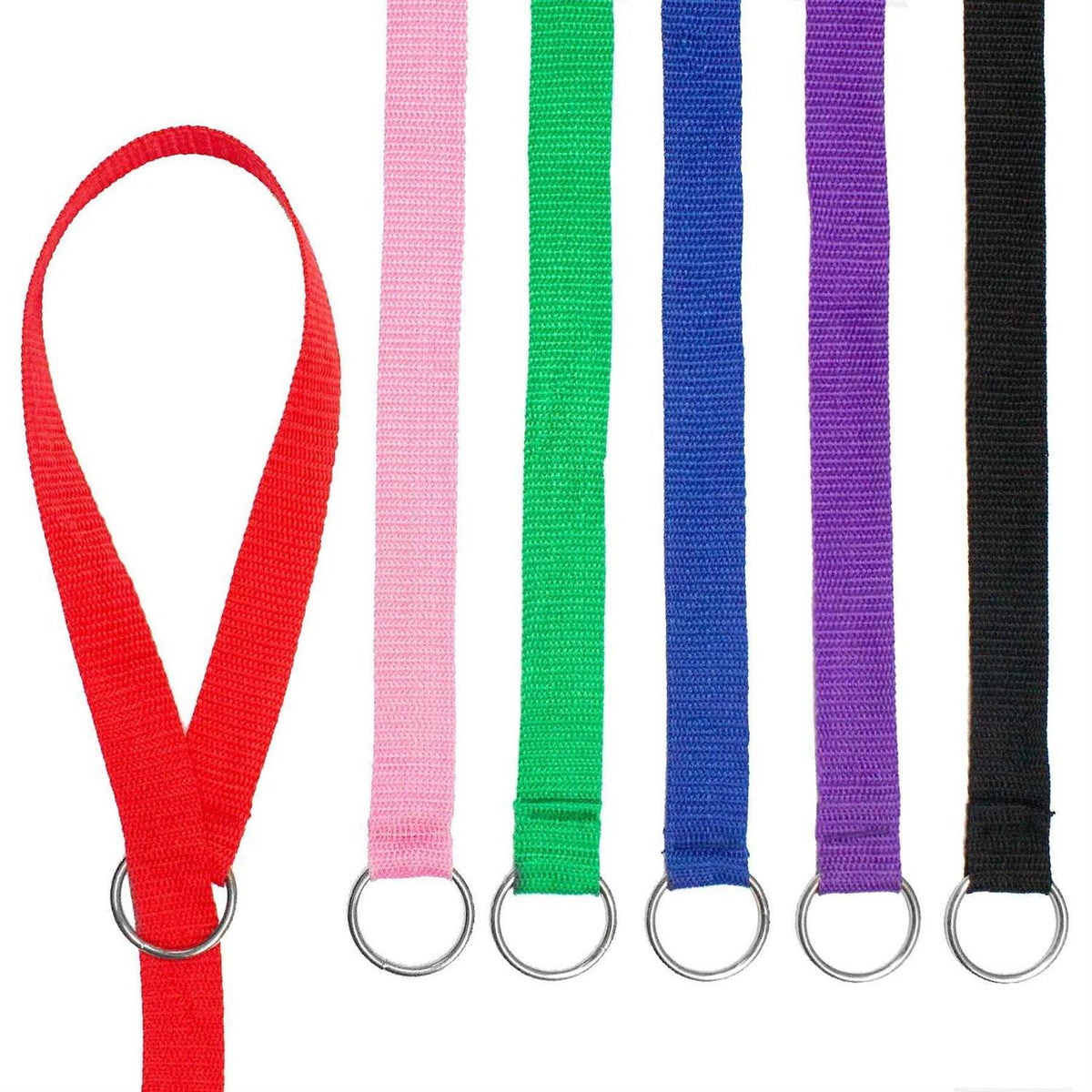 Dog Slip Lead Dog Leash G520