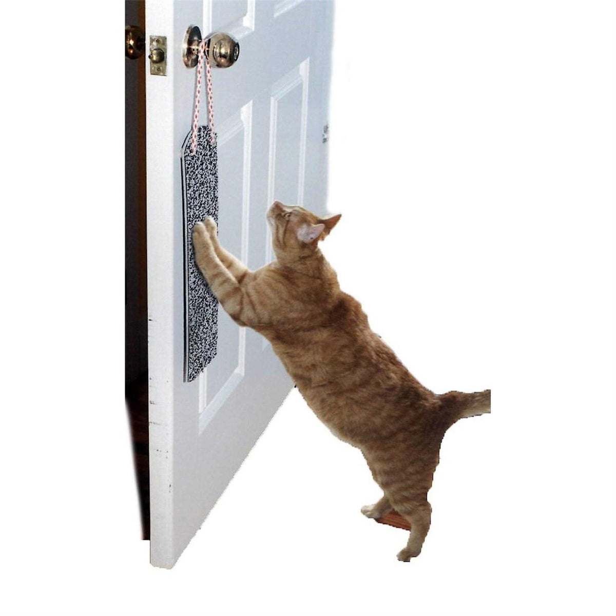 Door Hanging Scratch Pad K31710