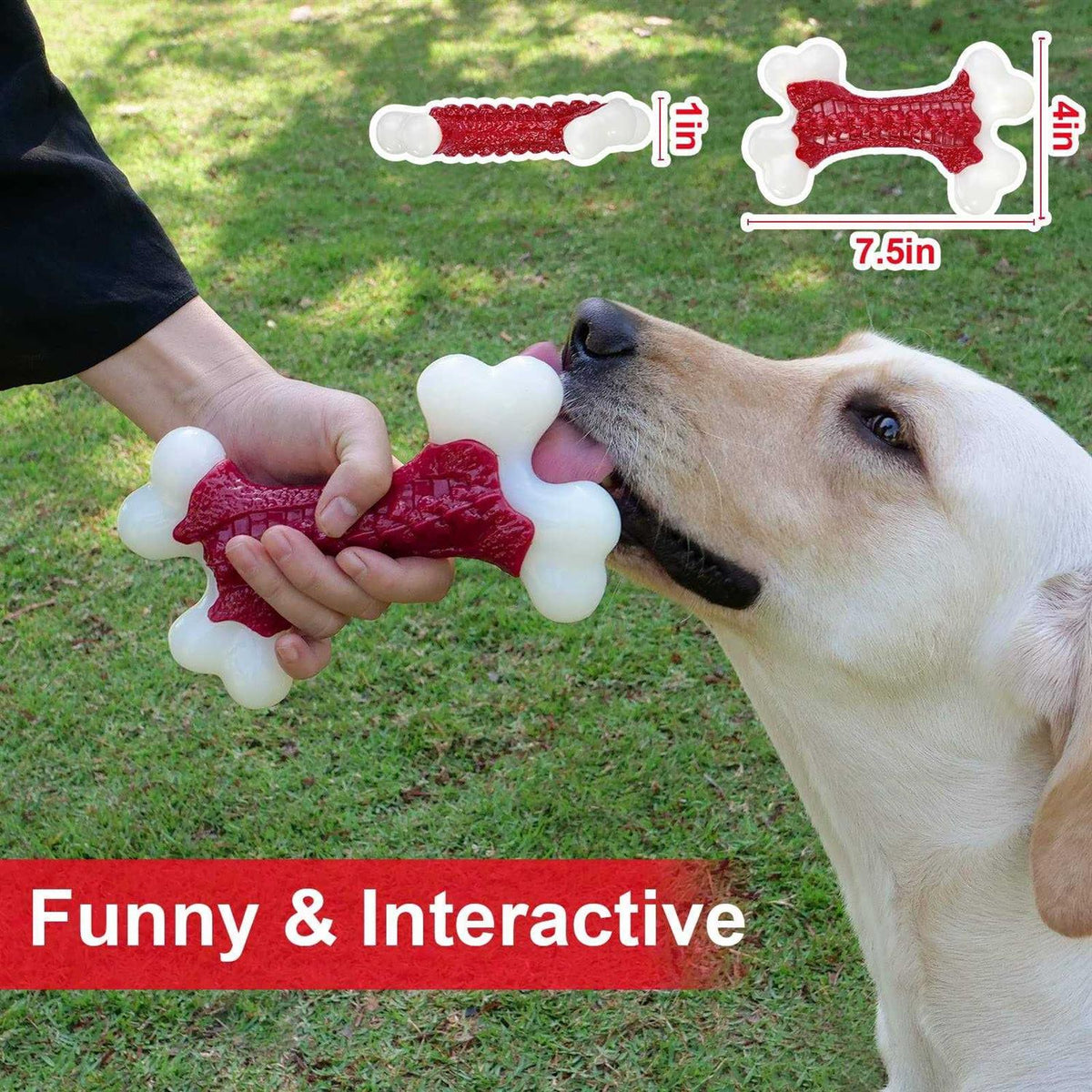 Tough Dog Toys for Aggressive Chewers Large Breed W98790