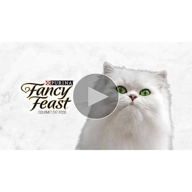 Wet Cat Food O2354