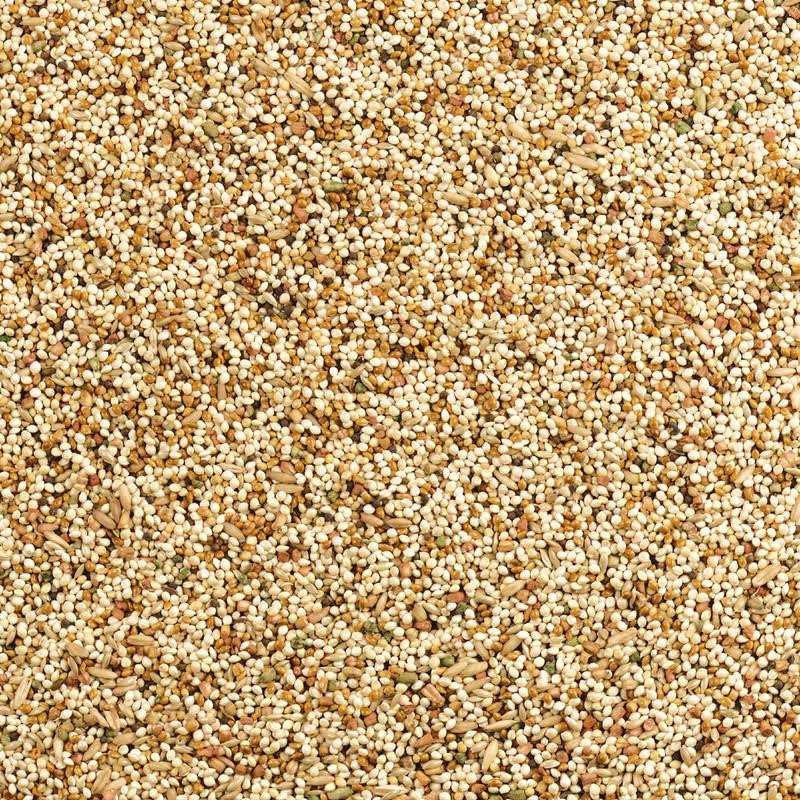 Daily Blend Nutrition Diet for Parakeet, Canary and Finch 10 Pounds T136