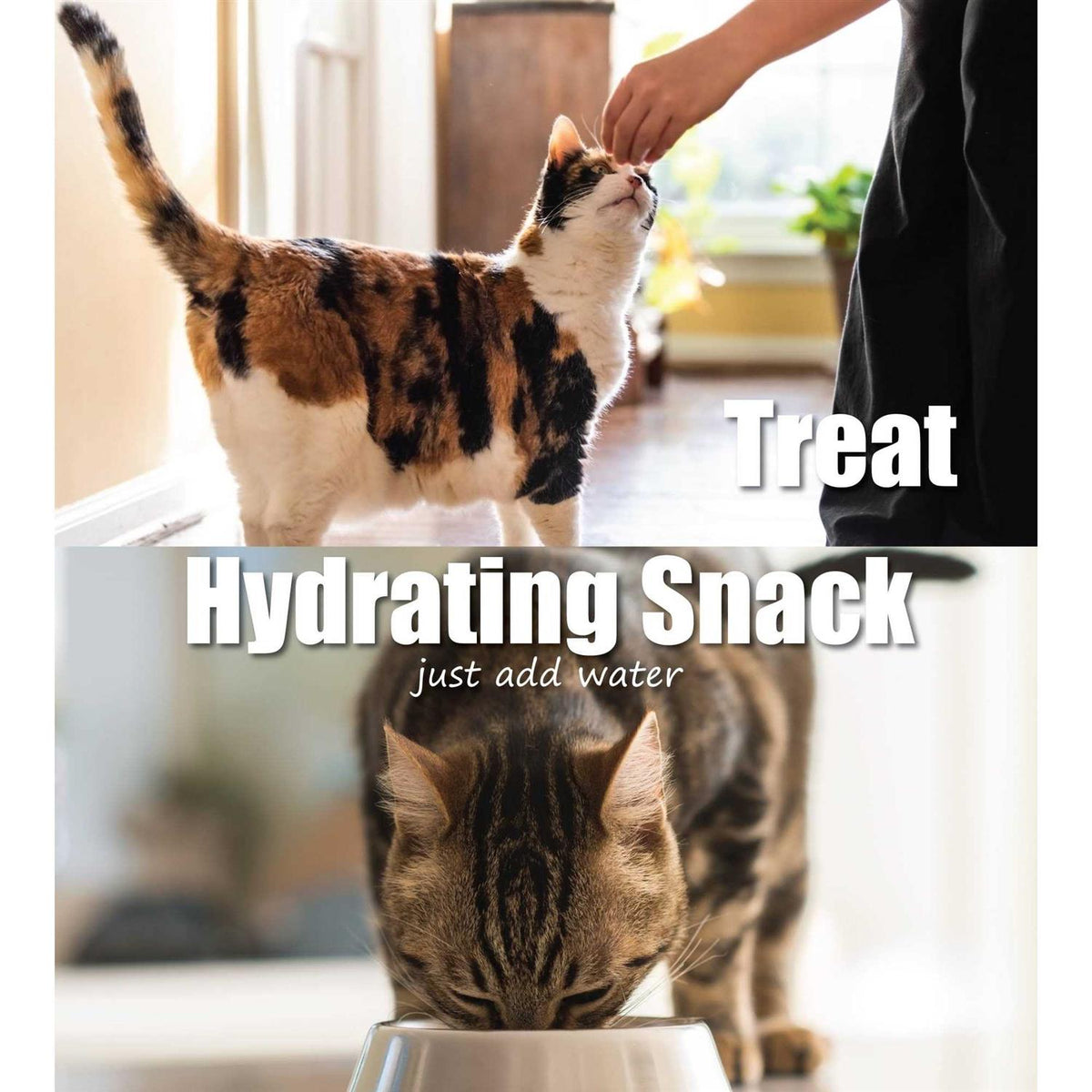 Salmon Cat Treats E357