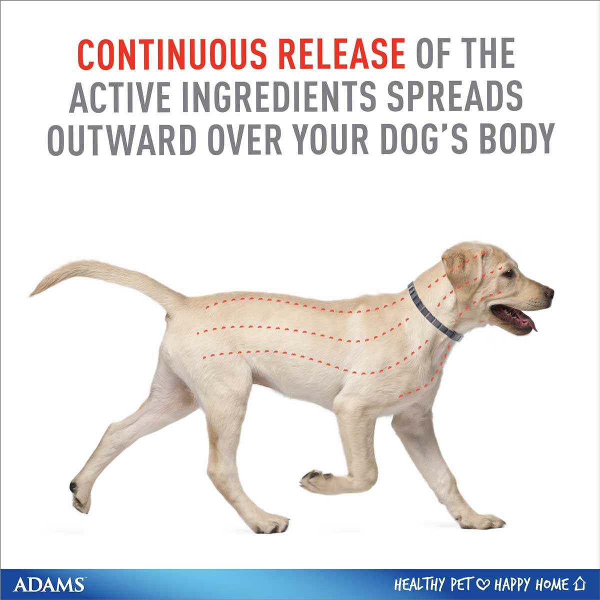 Flea Tick Collar for Dogs Puppies L358422