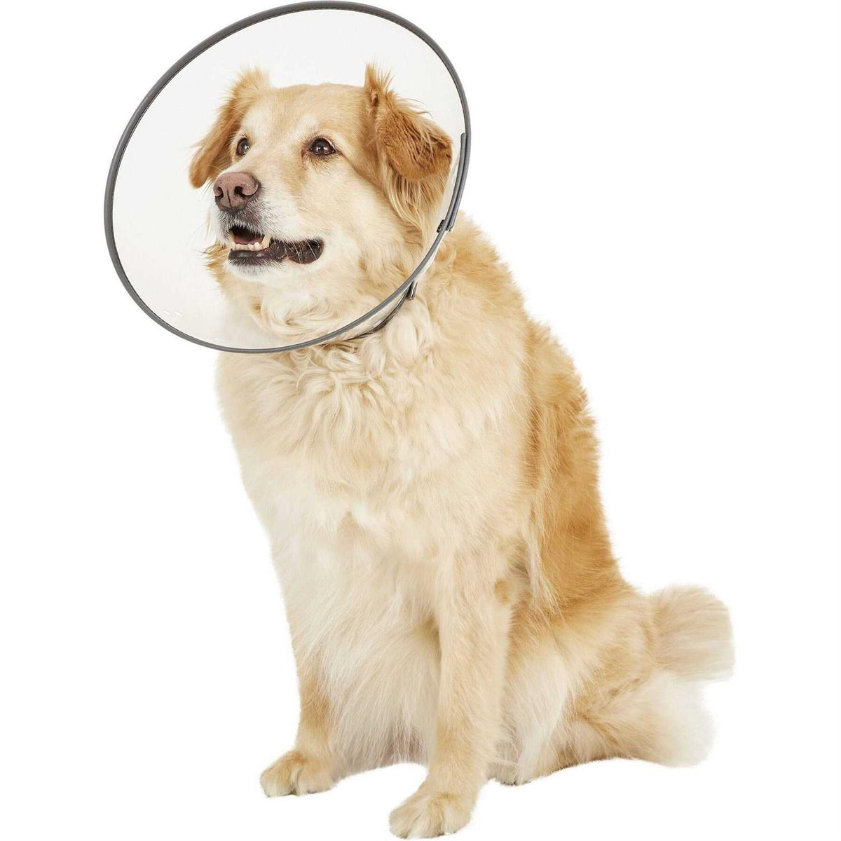 Large E-Collar Y506