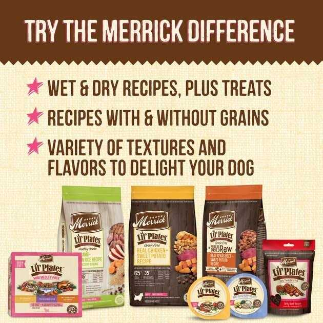 Small Recipe Dog Treats Y494732