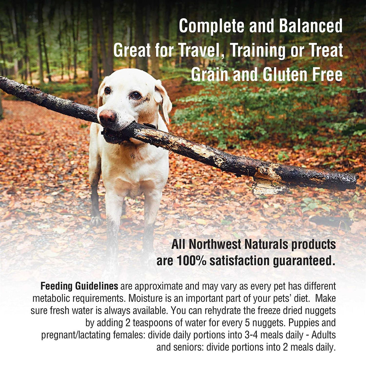 Freeze-Dried Raw Dog Food Z77752