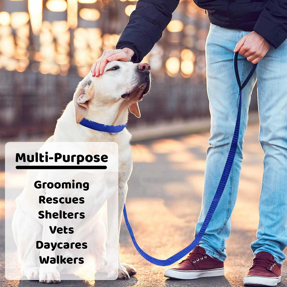 Dog Slip Lead Dog Leash G520