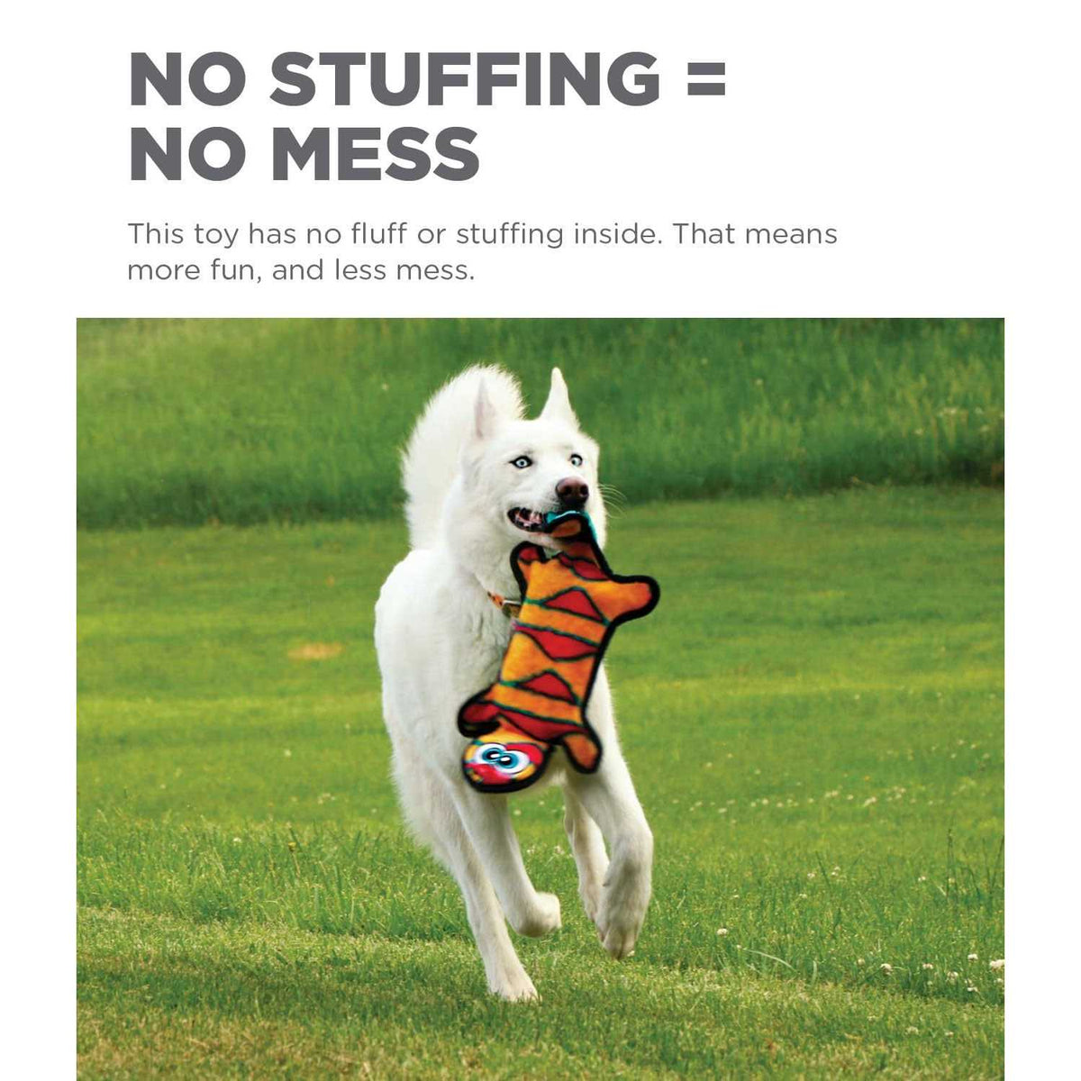 Dog Toy X535256