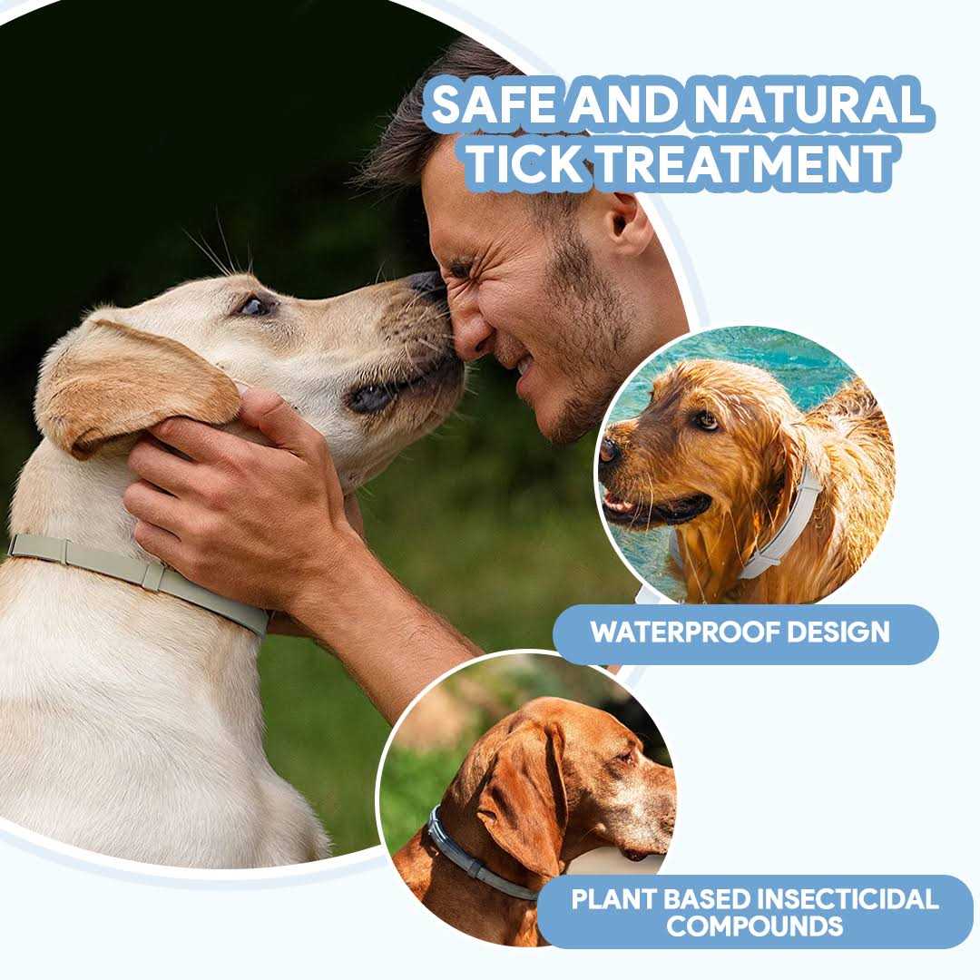 Flea & Tick Repellent Dog Collar K4241