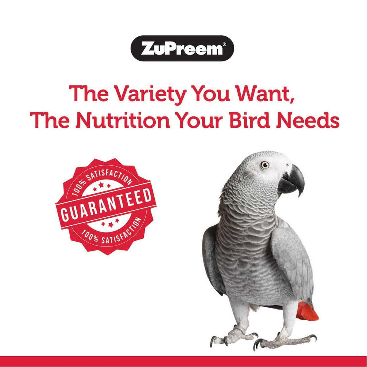 FruitBlend Flavor Bird Food K141051