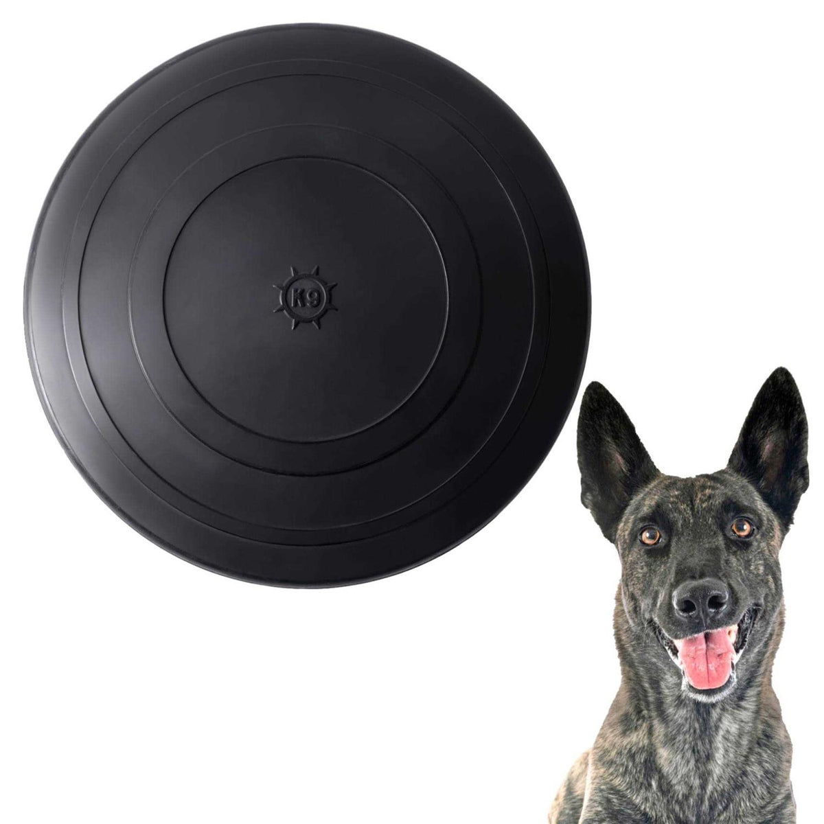 Dog Toy Flying Disc H251792
