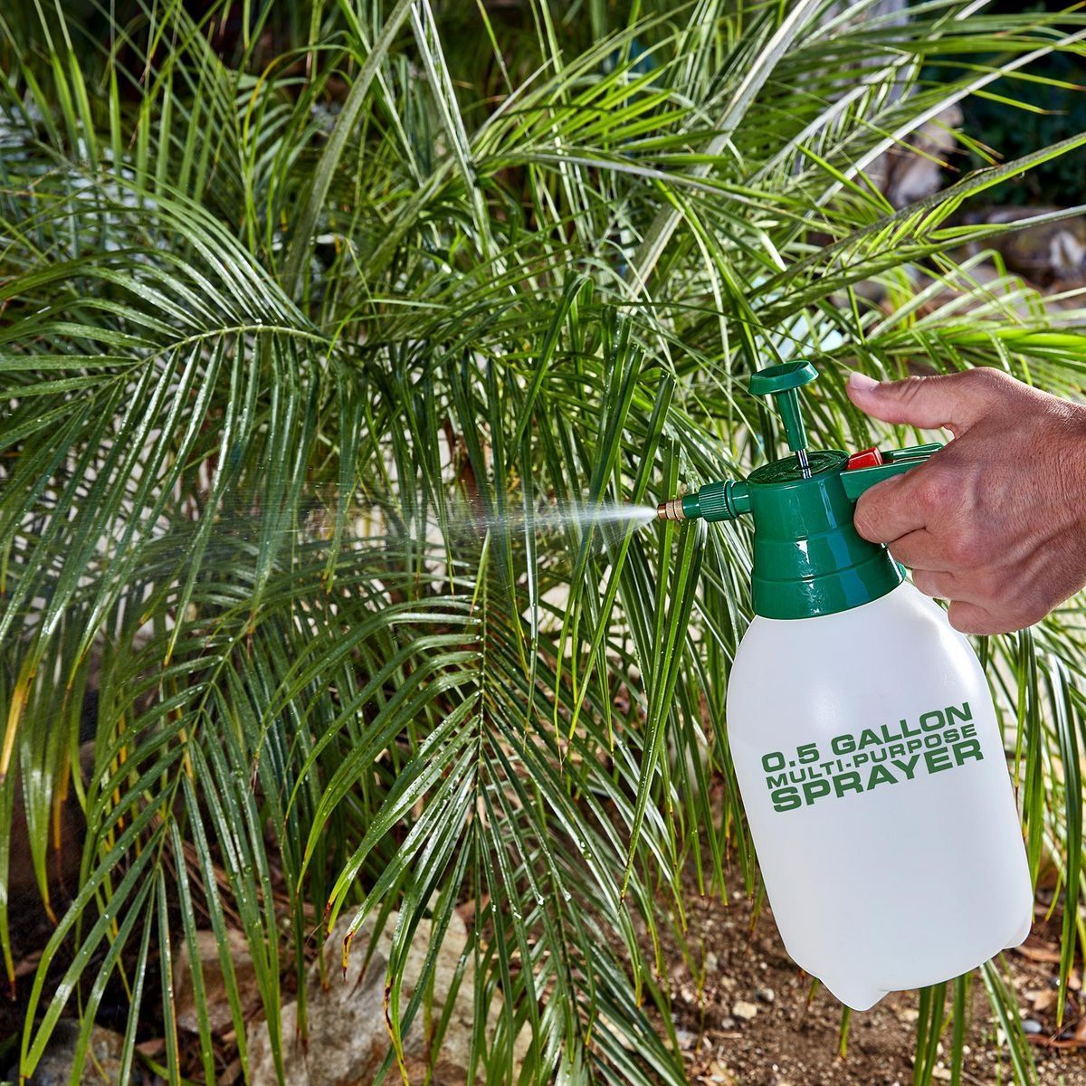 0.5 Gallon Multipurpose Sprayer P31748