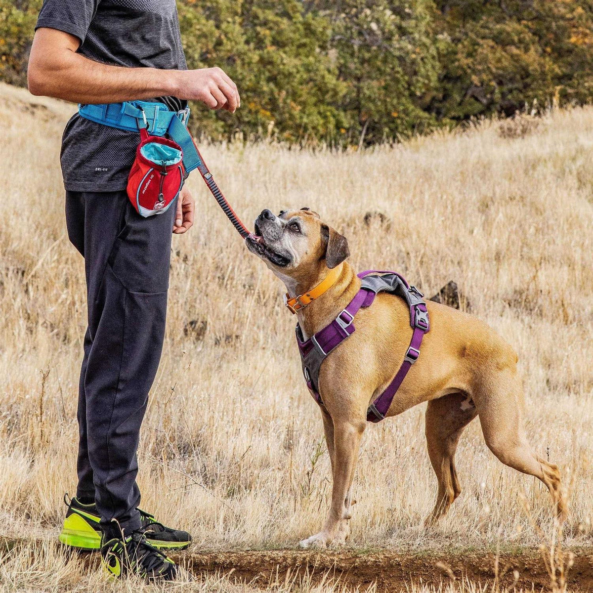 Dog Treat Bag S728