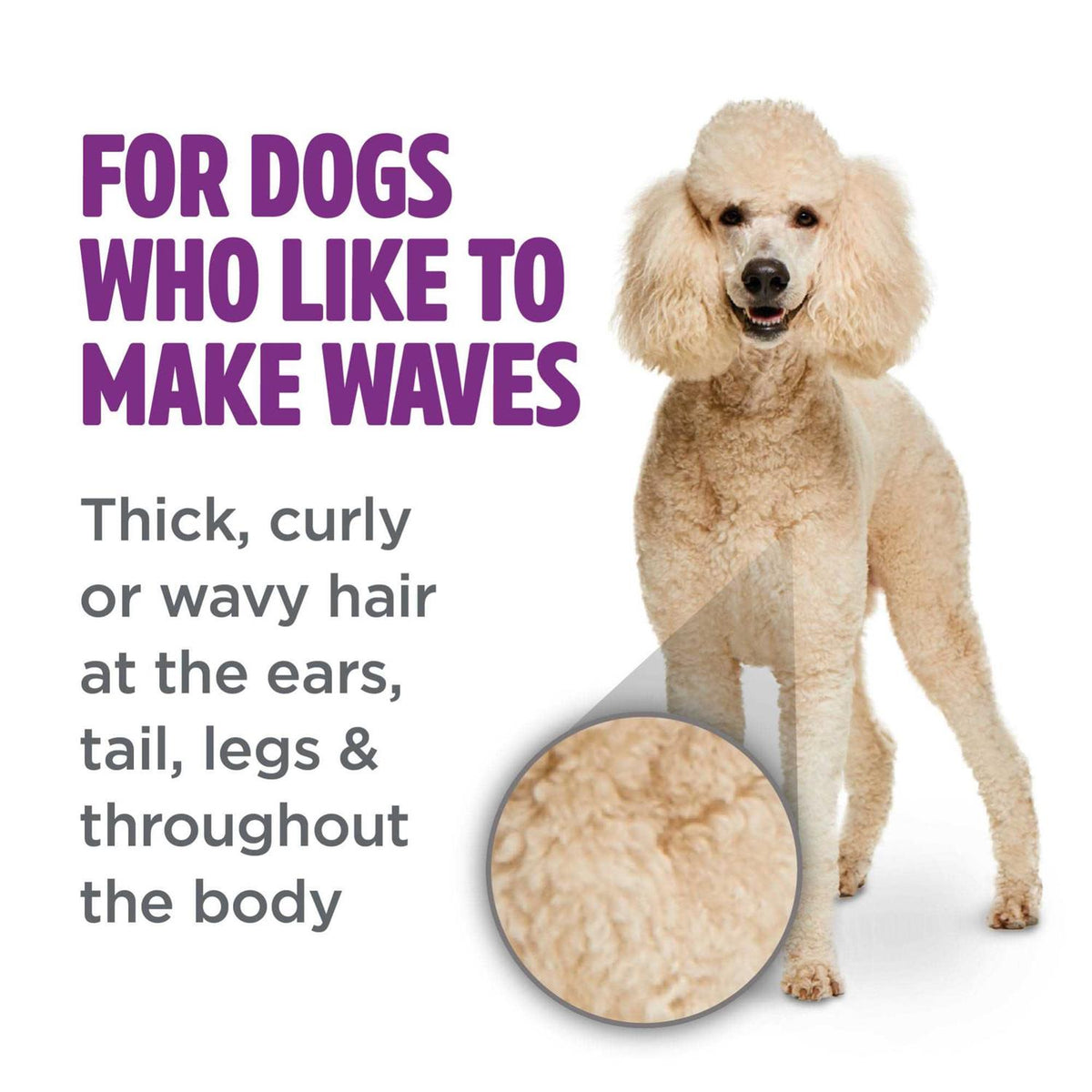 Curly & Wavy Coat Dog Shampoo I2025