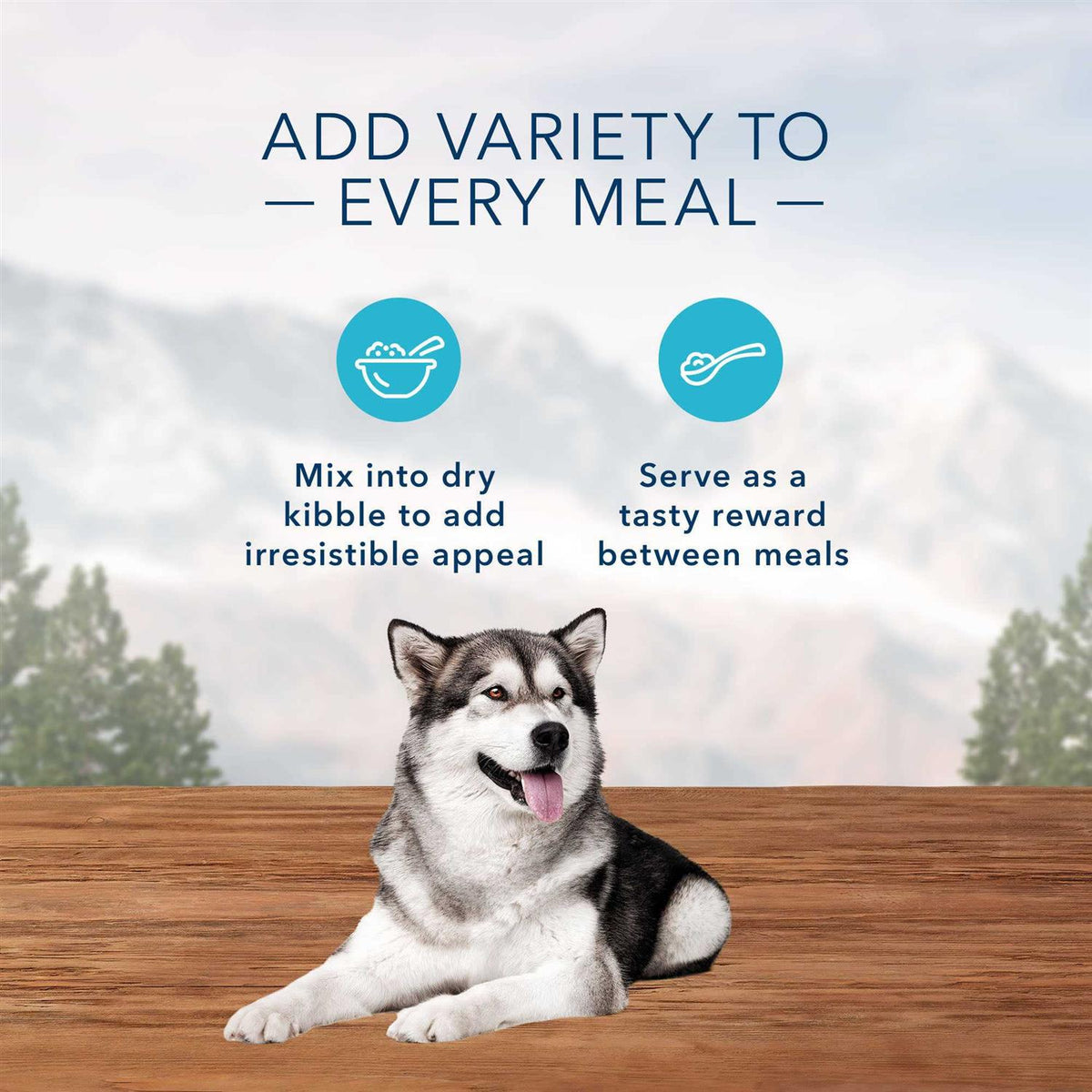 Chicken & Beef Bites Variety Pack Wet Dog Food W83511