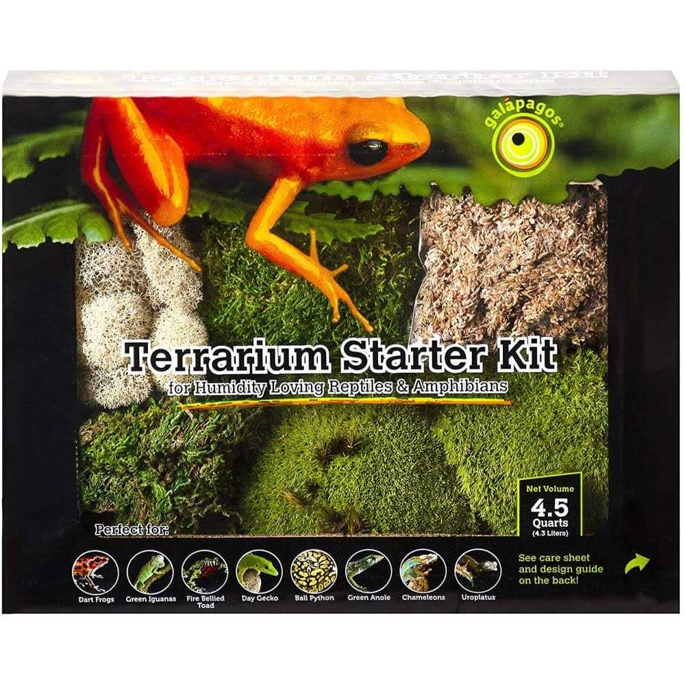 Terrarium Starter Kit Q257907