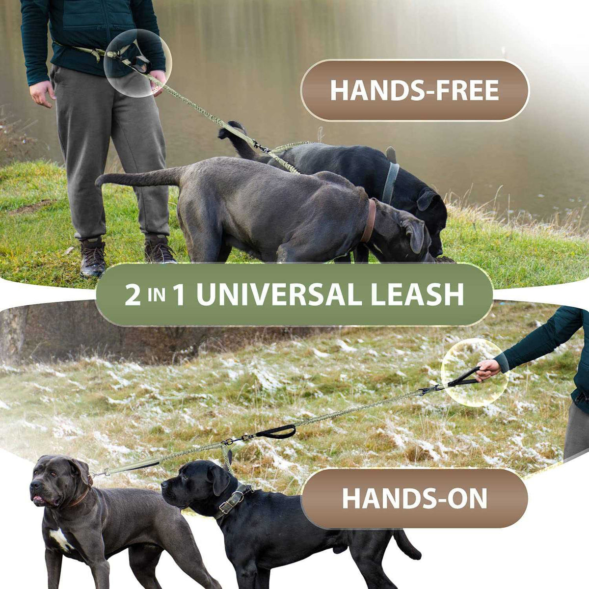 Hands Free Double Dog Leash C5639