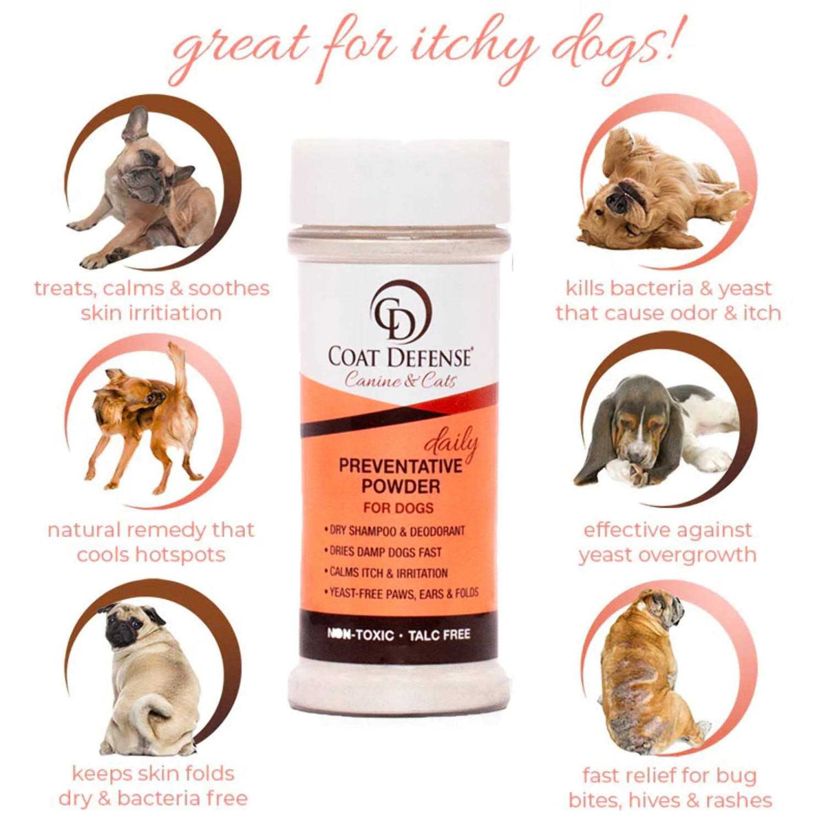 Canine & Cat Daily Preventative Powder Y114394