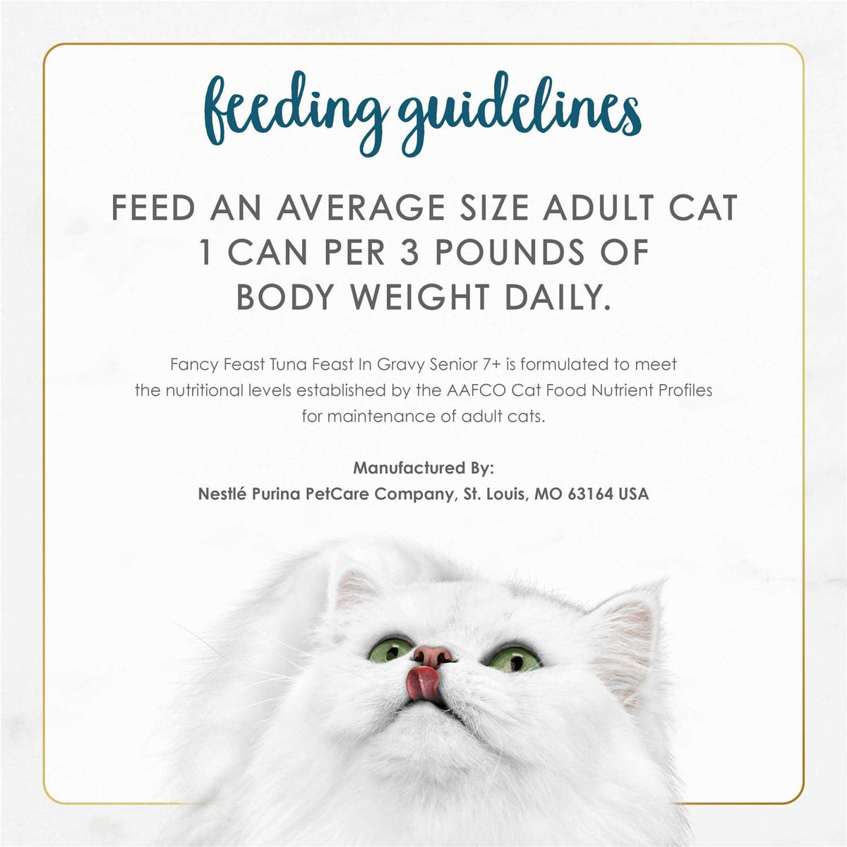 Wet Cat Food B393