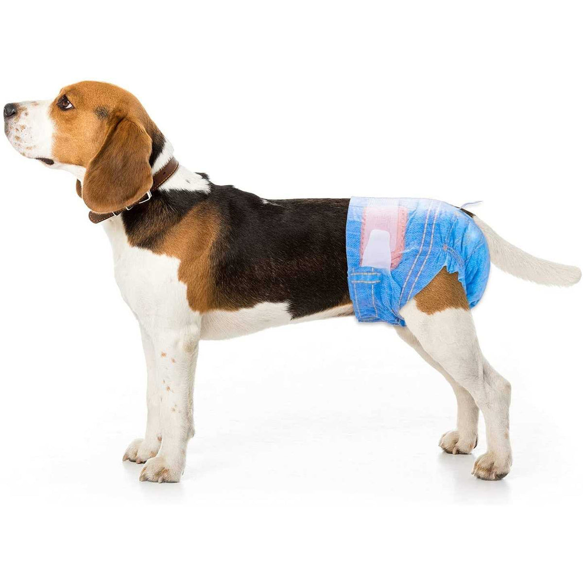 Soft Female Disposable Dog Diapers Y8295