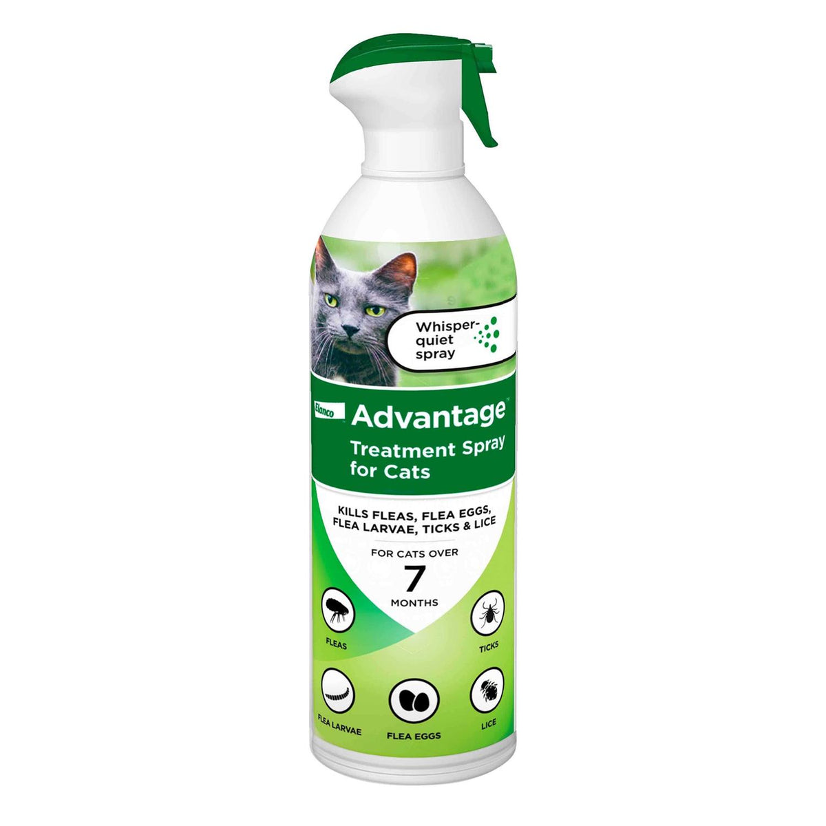 Flea Treatment Spray for Cats M9589