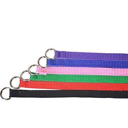 Dog Slip Lead Dog Leash G520