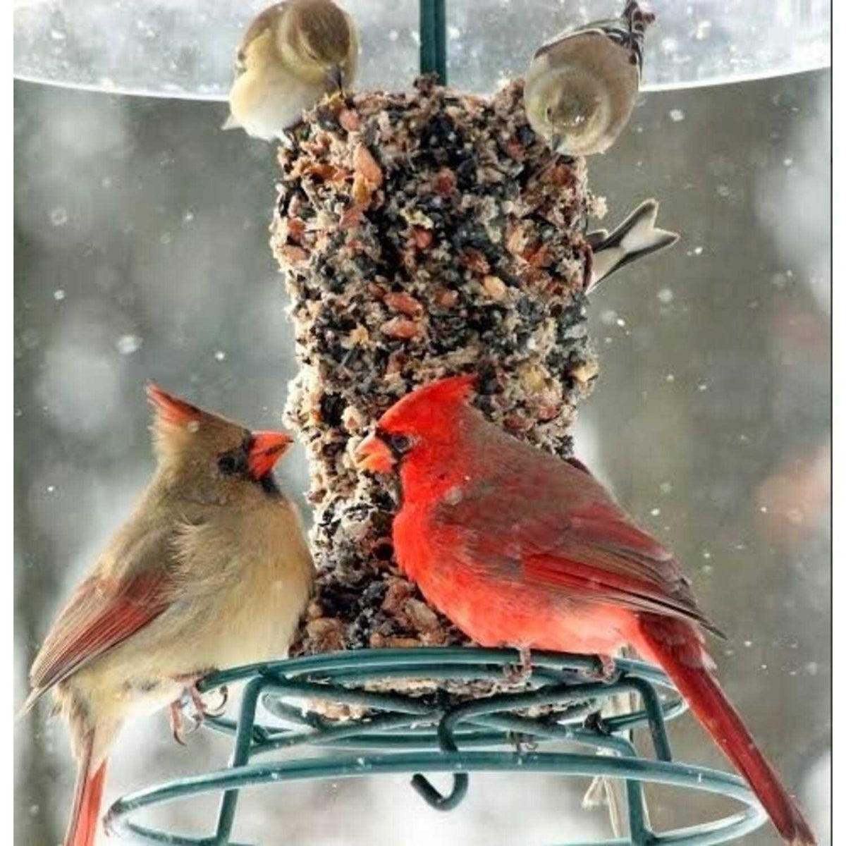 Woodpecker Feast Cylinder W433986
