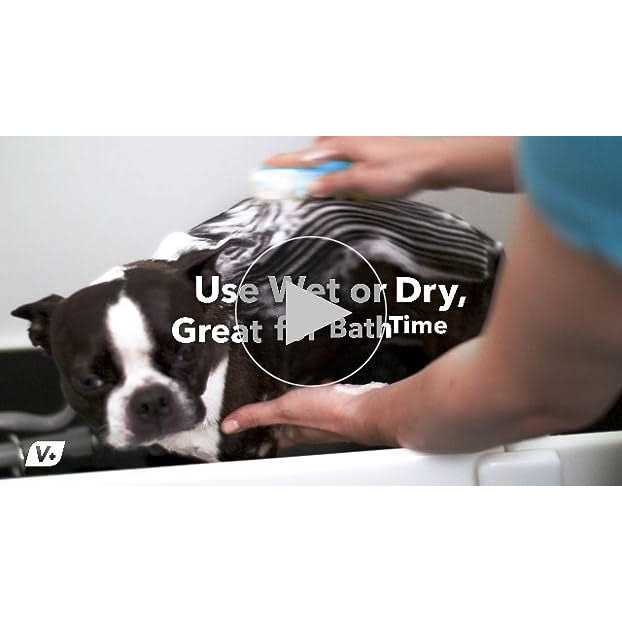 Pet Wipes Y786129