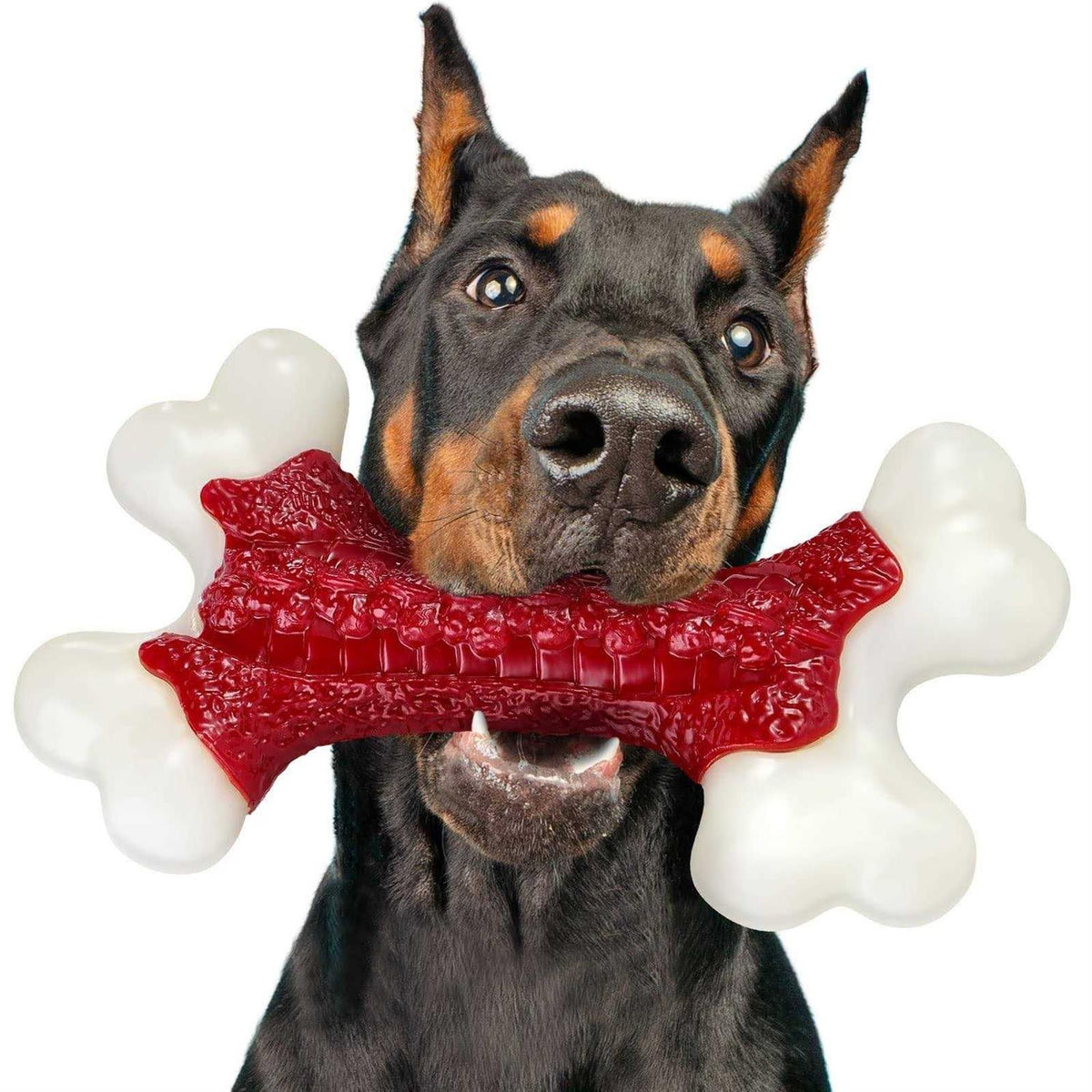 Tough Dog Toys for Aggressive Chewers Large Breed W98790