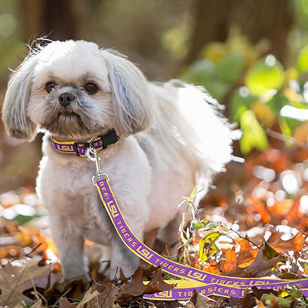 Pet Leash M29440