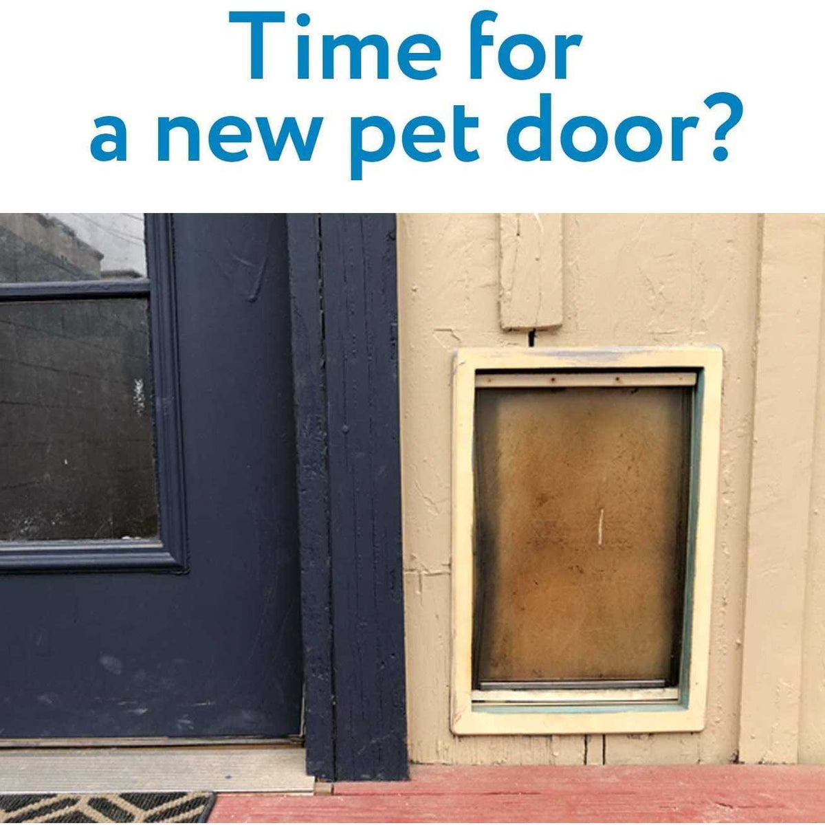 Medium Replacement Dog Door Flap G808