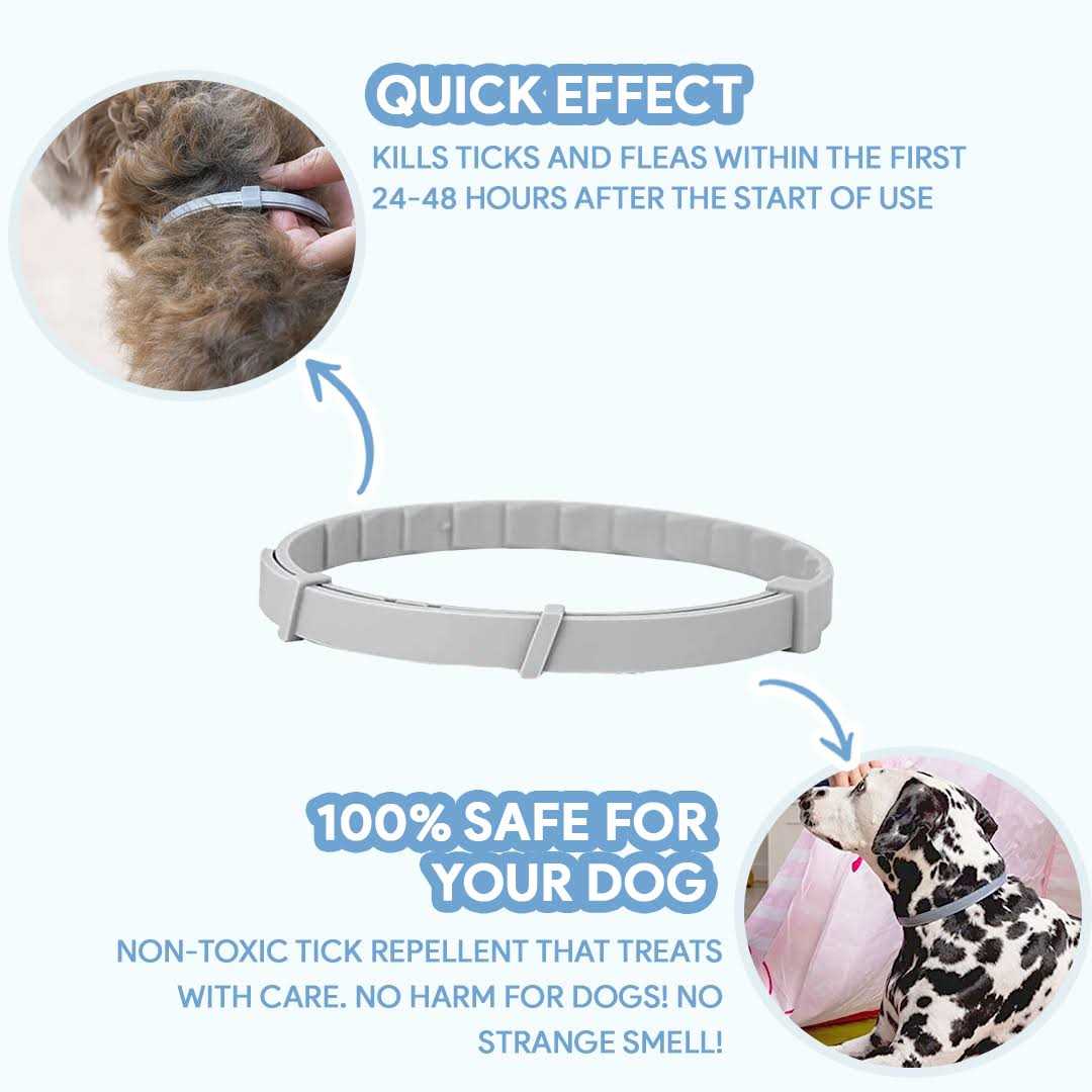 Flea & Tick Repellent Dog Collar K4241