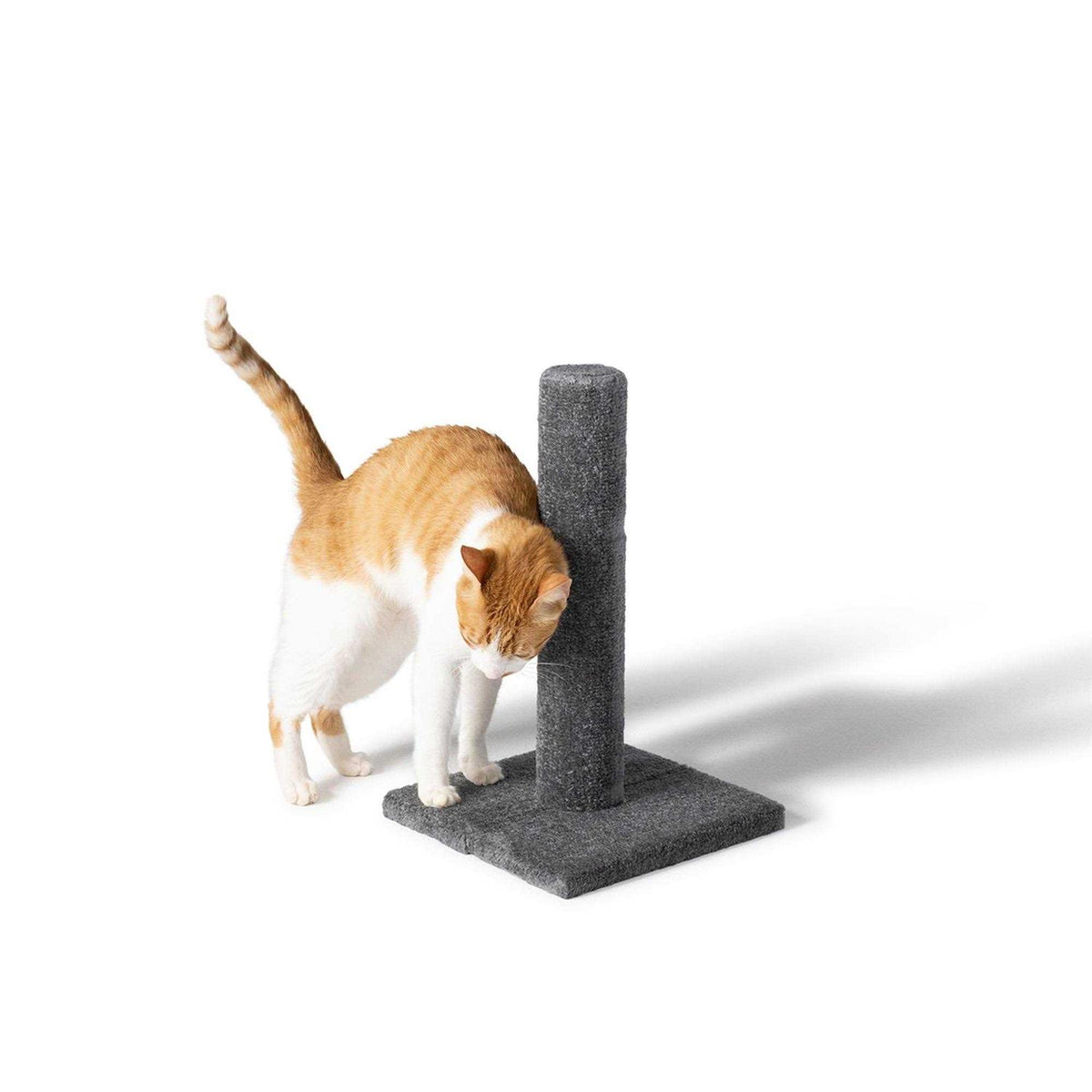 19-in Carpet Scratching Post S2905