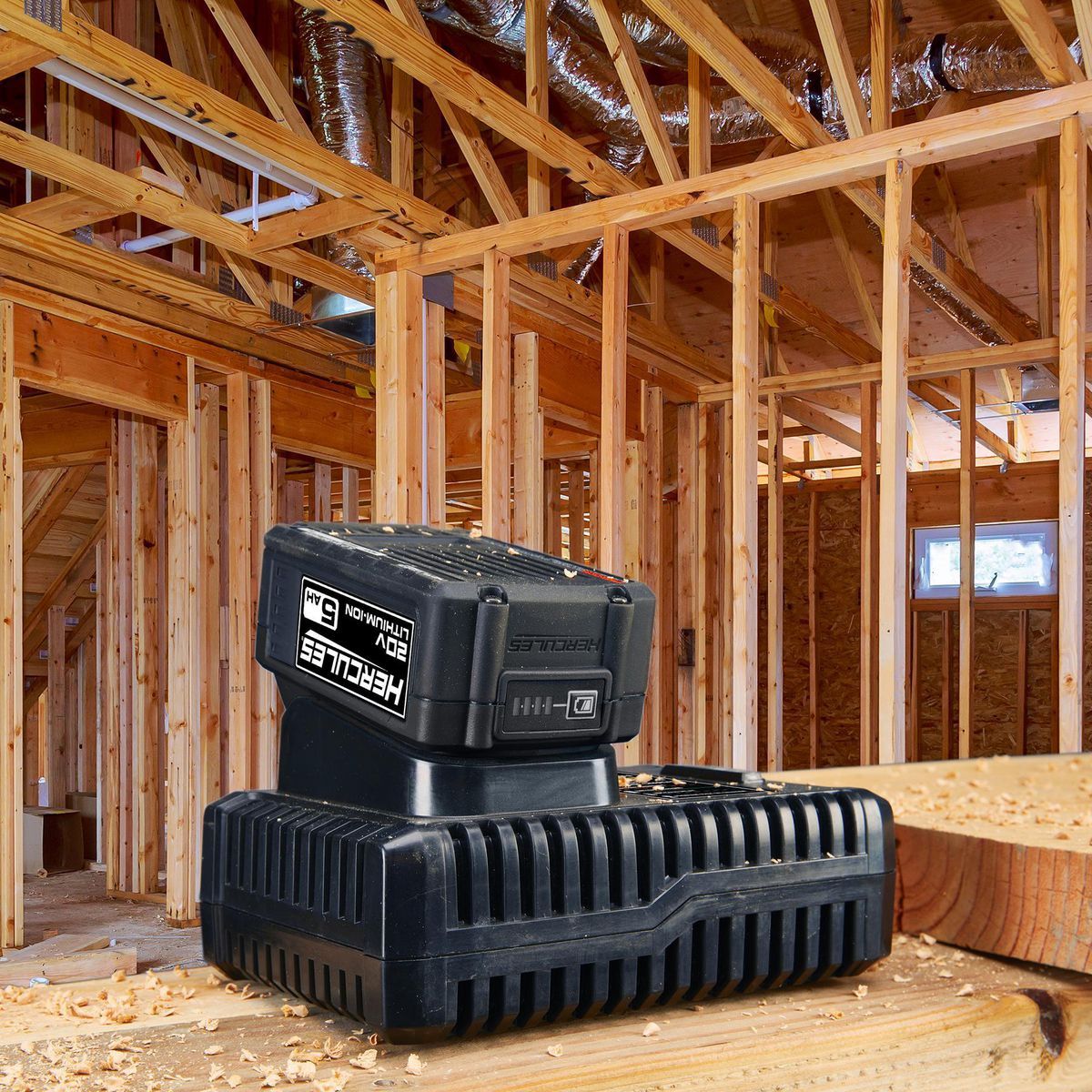 20/12V Dual-Voltage Lithium-Ion Battery Charger T304