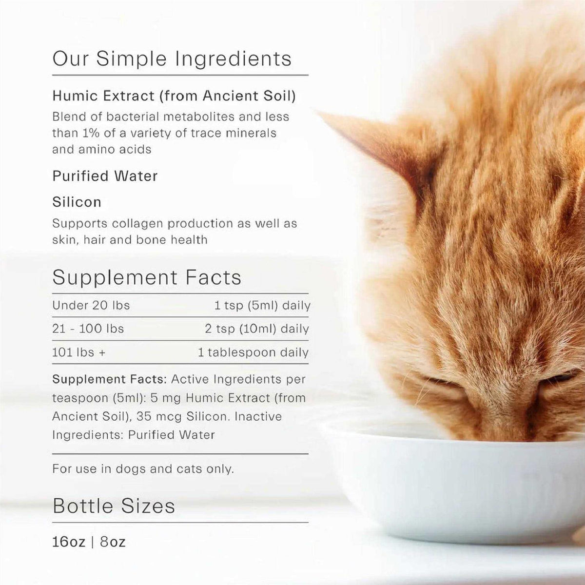 Gut Support For Pets X8645